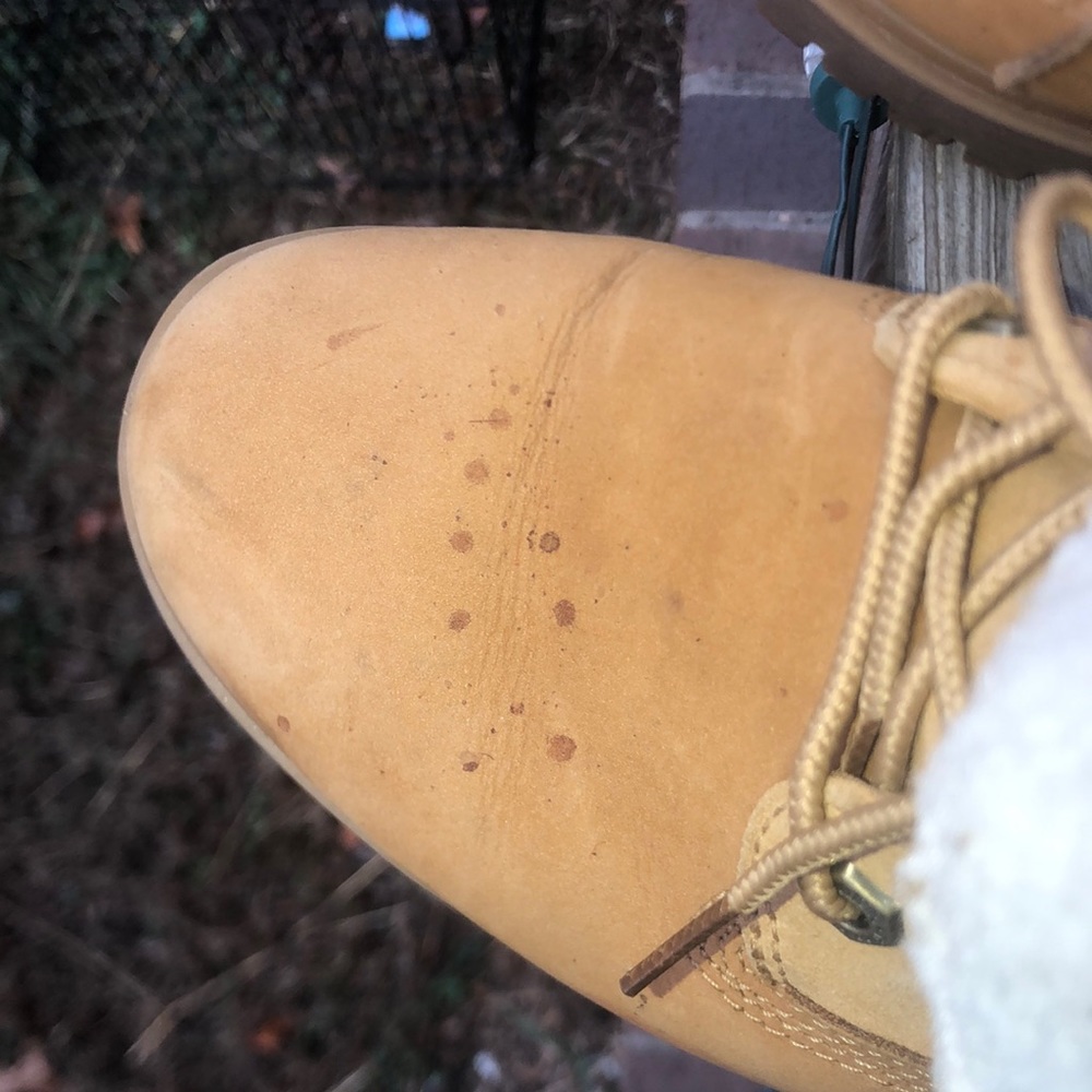 Timberlands - Picture 6 of 7